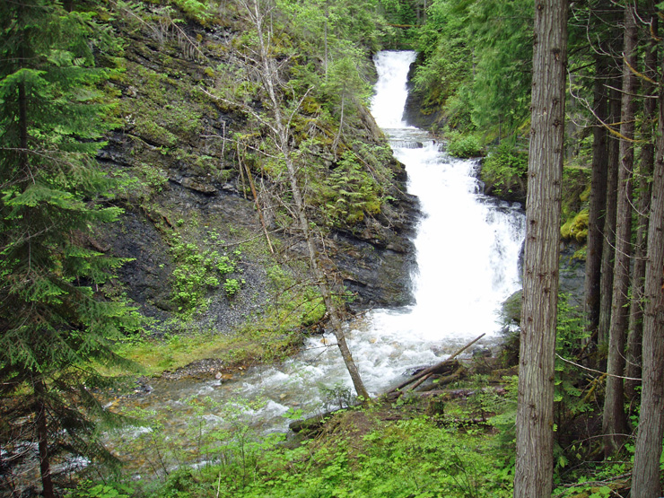 sweet_creek_falls